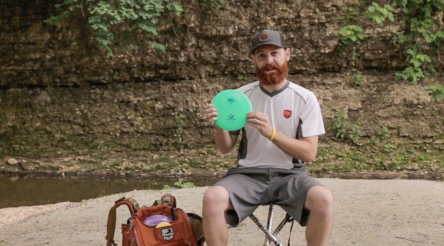 Dana Vicich: In the Bag 2018