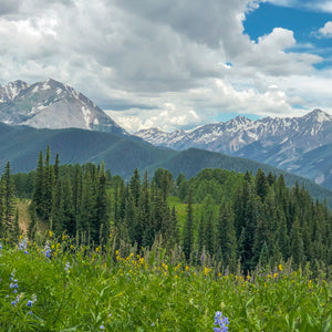 Kiss the Sky: Disc Golf at 11,252 feet