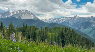 Kiss the Sky: Disc Golf at 11,252 feet