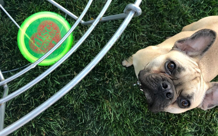 Instagram Favorites of the Shield: February 2018