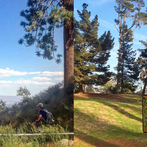 Five Great Disc Golf Destinations in Southern California